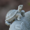 Solar Birdbath - Turtle Solar Birdbath - Turtle