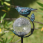 Aquarius Solar Birdbath - Crackled Glass Orb