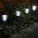 Charleston Solar Pathway Lights - Night View Charleston Solar Pathway Lights - Night View