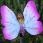 Pink Butterfly Solar Light