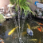 Solar Fountain Solar Fountain