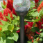 Bronze Color Changing Solar Light Bronze Color Changing Solar Light