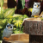 Owl Solar Fountain - Closeup