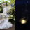 Fairy with bunny statue - Night View
