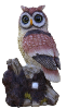 Solar Powered Owl Decoy