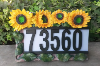 Sunflower Solar Address Light