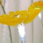 Solar Sunflower - Closeup